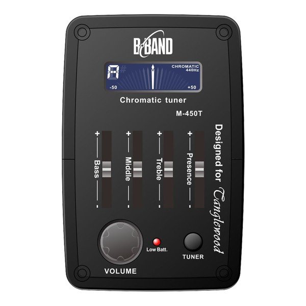 Tanglewood TW8 E AB Winterleaf Acoustic Bass, Natural at Gear4music