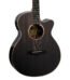Tanglewood TW4 E BS