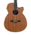 Ibanez AEG7MH OPN