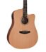 Tanglewood TWR2 DCE Acoustic Electric Guitar