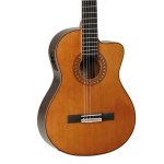 Tanglewood EM DC 5