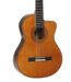 Tanglewood EM DC 5