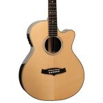 Tanglewood TW45 H SR E