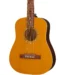Epiphone El Nino Travel