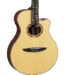 Yamaha NTX5 NT