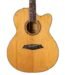 Sire A GS String Larry Carlton A Grand Auditorium Acoustic Electric Guitar