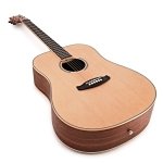 Tanglewood DBT D HR Dreadnought Spruce & Figured Hawaiian Rainwood Acoustic Guitar with Bag