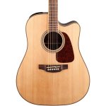 Takamine GDCE NAT Accoustic Electric Guitar