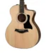 Taylor ce Special Edition Grand Auditorium Acoustic Guitar