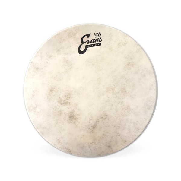 Evans TTC inch Calftone Batter Tom Drumhead