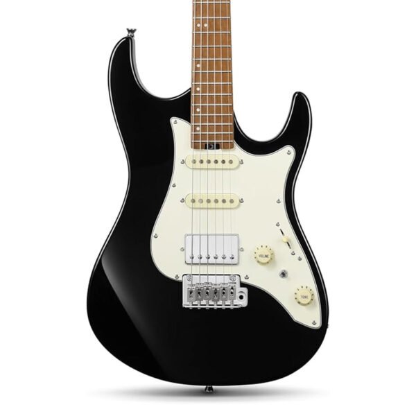 Donner DST 550B Electric Guitar Solid Double cut Poplar Body with Bag, Black