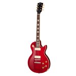 Gibson Warren Haynes Les Paul Standard 2