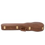 Gibson Warren Haynes Les Paul Standard 4