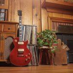 gibson usa warren haynes rear