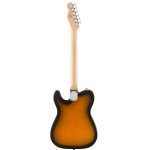 products Squier Debut Tele 3ts back