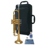 products YTR 3335 case