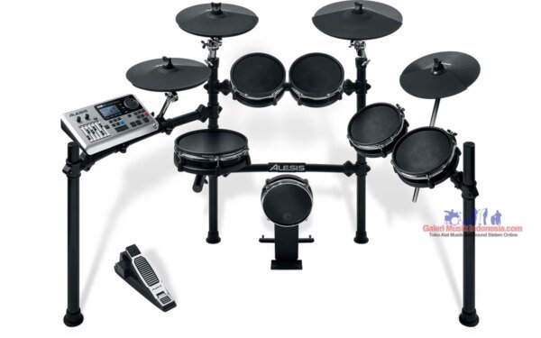 Alesis DM10 Studio Electronic Drum Kit with Mesh Heads