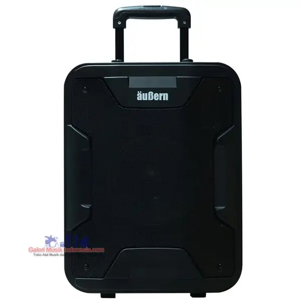 Aubern PS8 DR Portable Amplifier Wireless