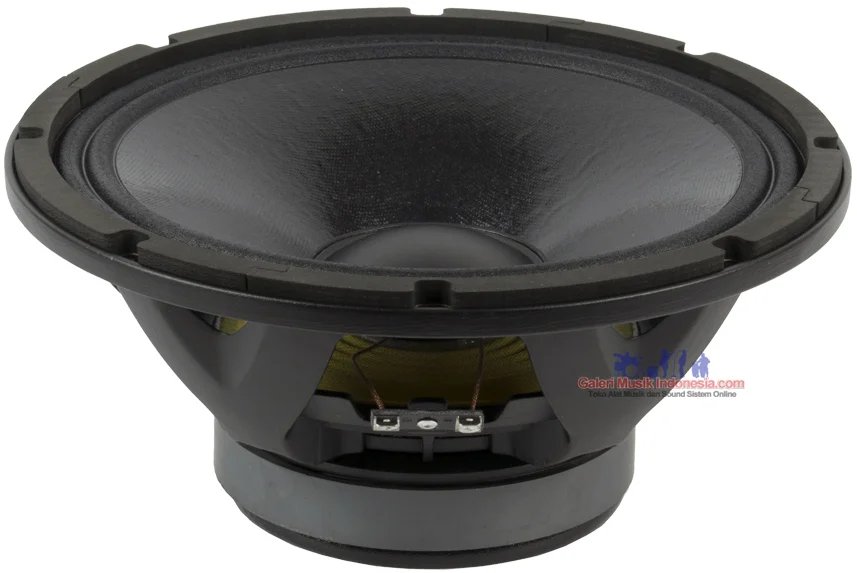 Beyma 10 WR 300 10 Inch MidBass / Bass Speaker