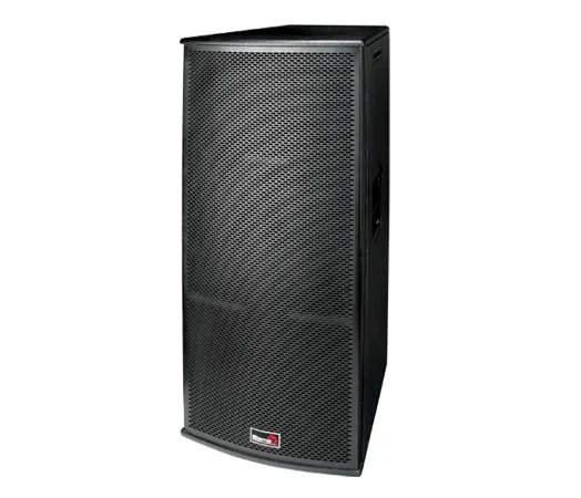Biema T215AII Professional Passive Speaker