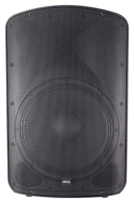 BLG BP19 15A53 Professional Plastic Speaker System