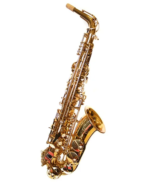 Conn Selmer AS651DIR Alto Saxophone Outfit