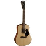 Cort AD 810E 12String Semi Acoustic Guitar