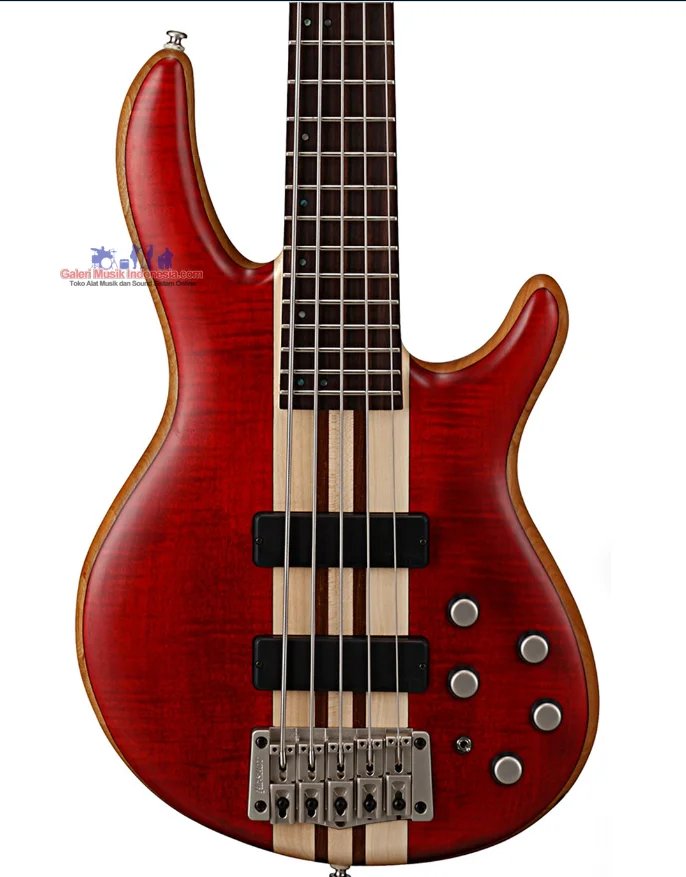 Cort Artisan A5 Plus FMMH OPBC Bass Guitar