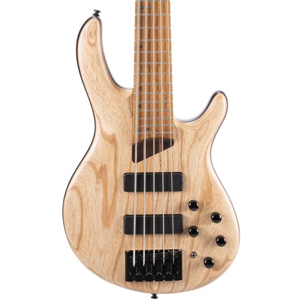 Cort Artisan B5 Element OPN 5 String Electric Bass Guitar