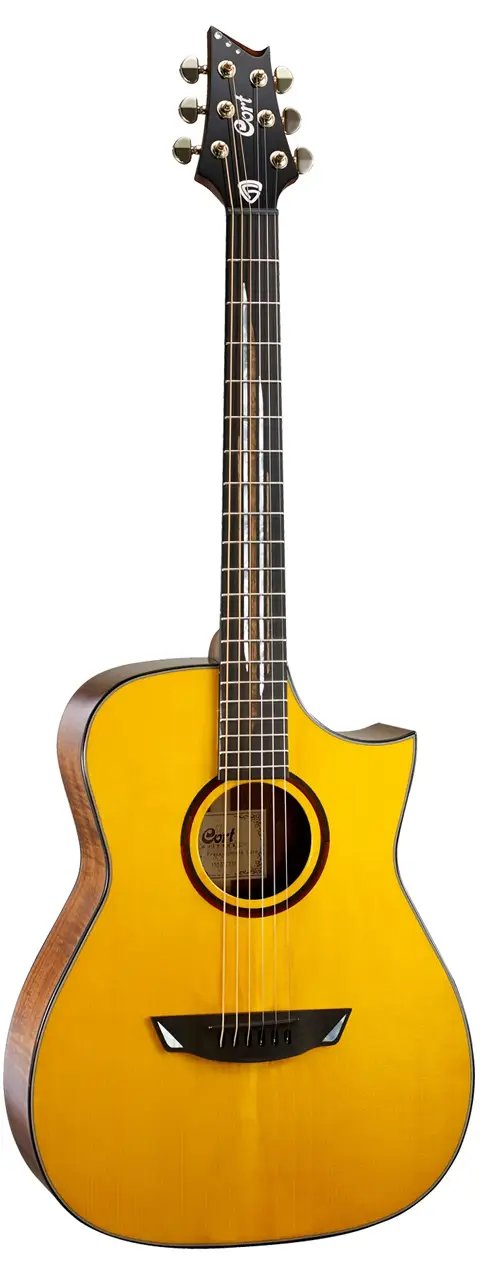 Cort LUXE-NAT LR BAGG EQ FRANK GAMBALE SIGNATURE Acoustic-Electric Guitar (with Case)