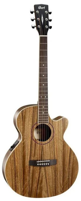 Cort SFX DAO NAT Acoustic Electric Guitar w/Bag
