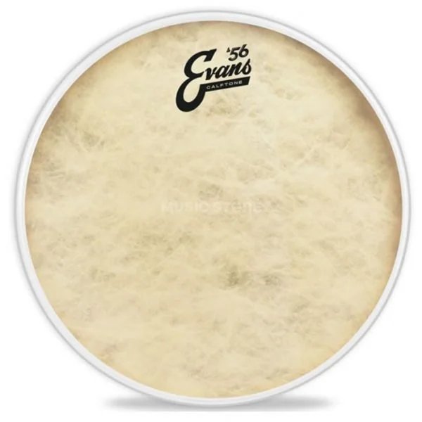 products evans tt08c7 8 inch calftone batter tom drumhead a158613