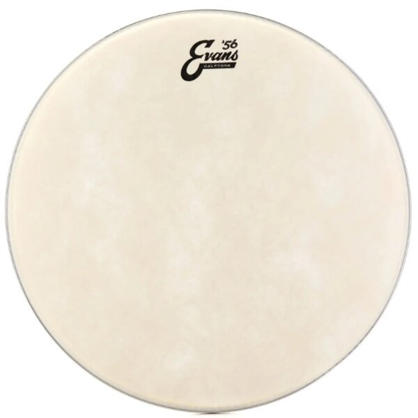 Evans TT16C7 16 inch Calftone Batter Tom Drumhead