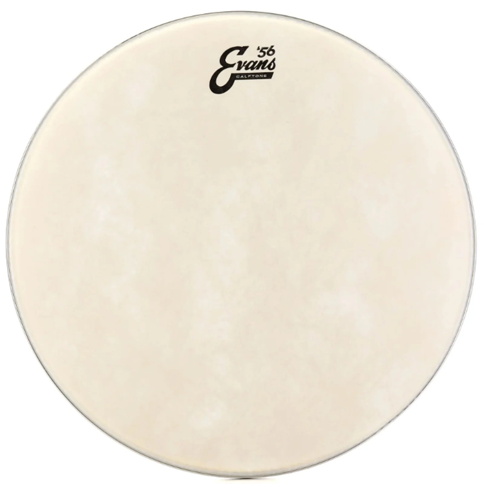 Evans TT16C7 16 inch Calftone Batter Tom Drumhead