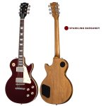 products gibson les paul standard 60s solid electric guitar with case a139781