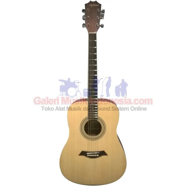 Hofmann HF100E String Acoustic Electric Guitars
