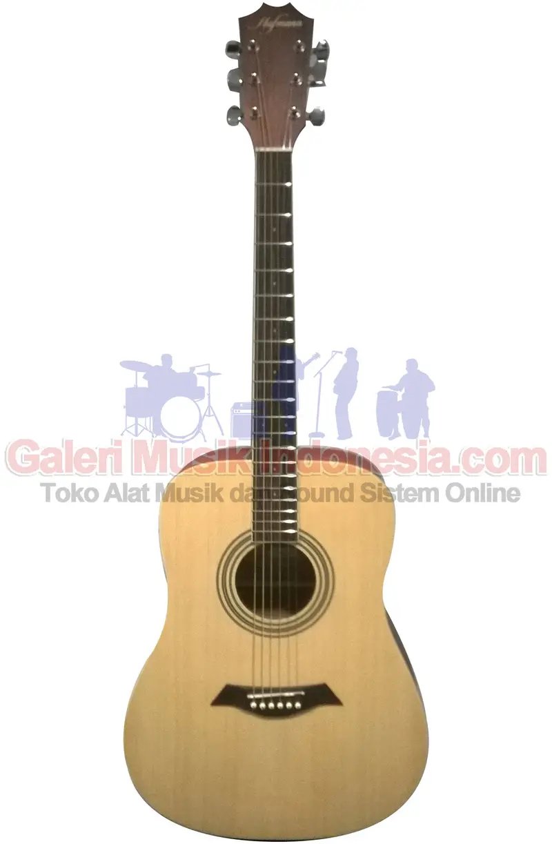 Hofmann HF100E String Acoustic Electric Guitars