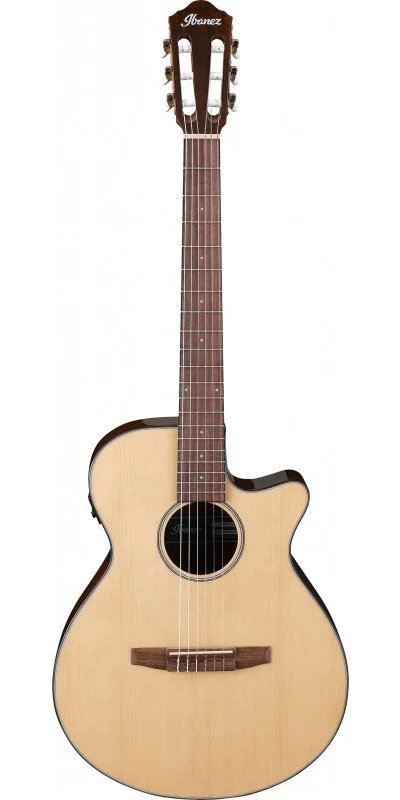 Ibanez AEG7TN NT Nylon Acoustic Electric Guitar
