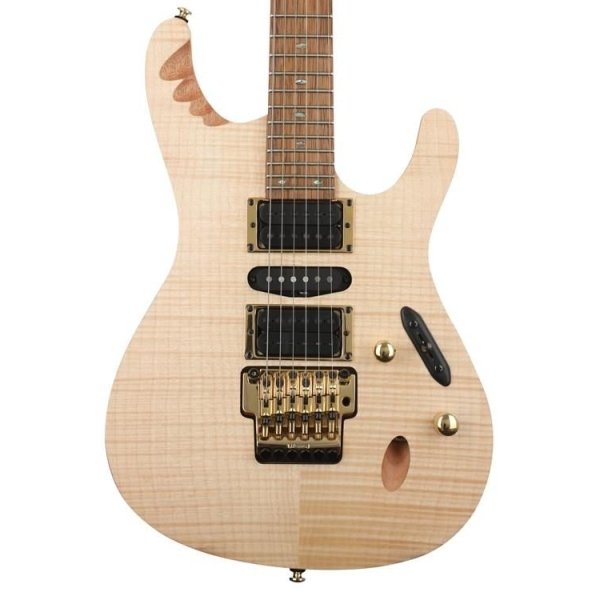 Ibanez EGEN8 PLB