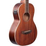 products ibanez pnb14e acoustic electric bass open pore natural a100226 scaled