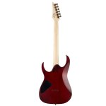 products ibanez standard rg421pb electric guitar caribbean shoreline flat a133424