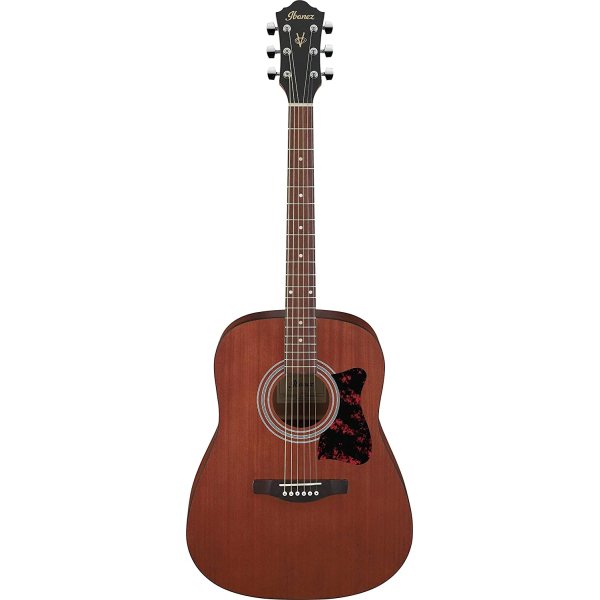 Ibanez V54NJPOPN Acoustic Guitar, Open Pore Natural
