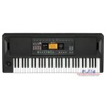 products korg ek50 entertainer keyboard a150707