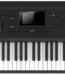 products kurzweil forte 2443