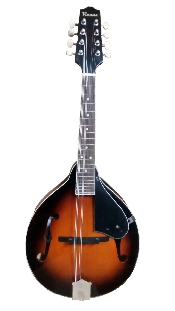 Mandolin Vienna LM1F