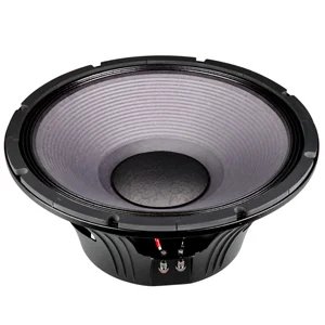 P-Audio P180/2242 Component Speaker 18 Inch for Professional Loudspeaker