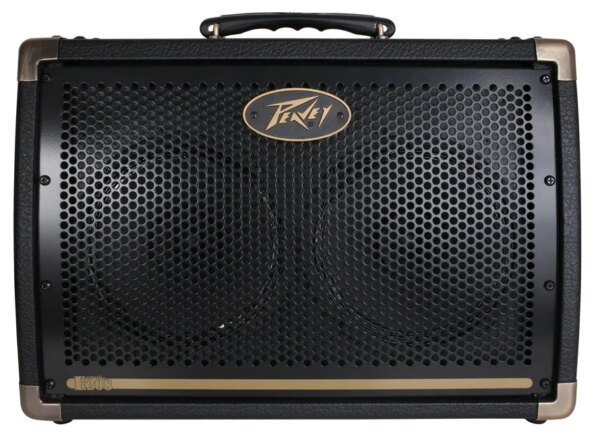 Peavey Ecoustic E208 Acoustic Combo Amp