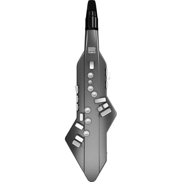 Roland Aerophone AE-05 Go Digital Wind Instrument