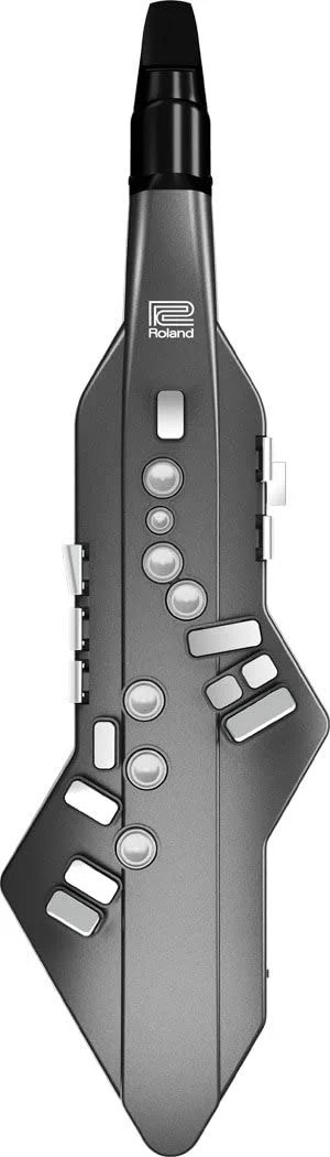 Roland Aerophone AE-05 Go Digital Wind Instrument