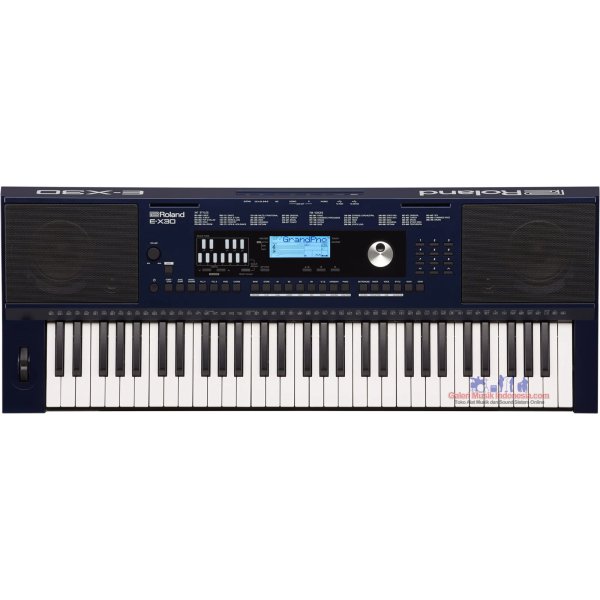 Roland EX30 Arranger Keyboard